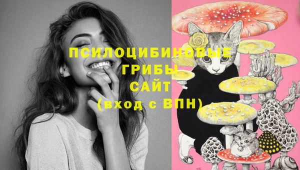 бошки Балабаново